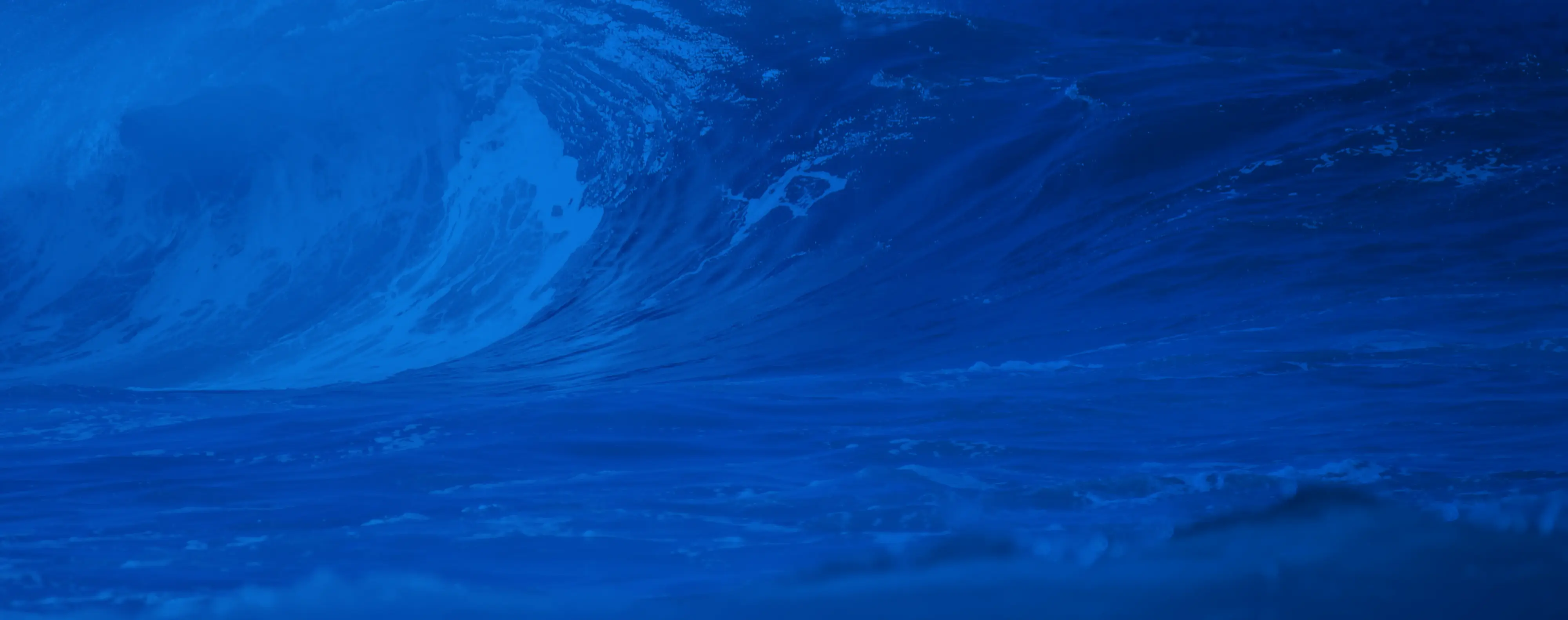 fs background