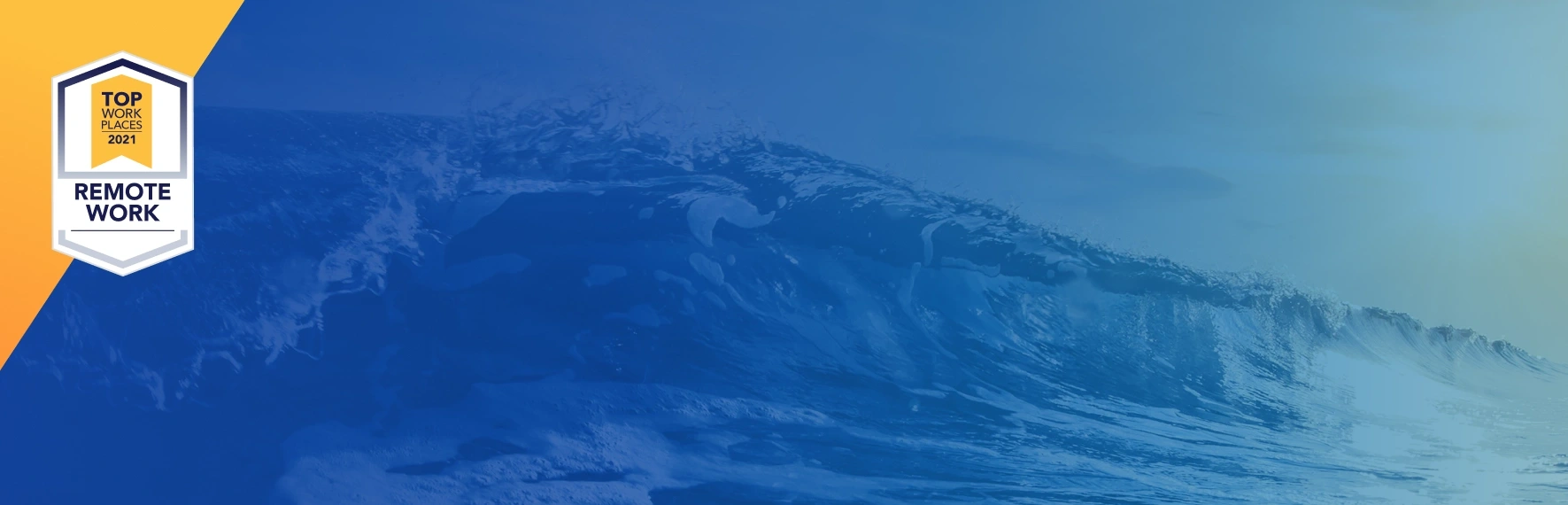 fs background